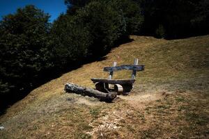 un de madera banco y un seco caído árbol en un ladera, un relajante ubicación con un ver de lago como foto