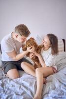 a couple plays with a cockapoo girl on a bed, minimalism photo