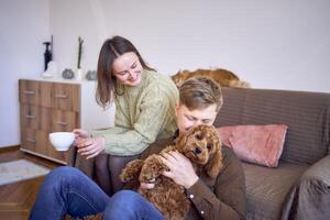 couple drinking from cups near sofa in living room, red cat sleeping on sofa, cockapoo running around photo