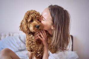 young woman playing and kissing cockapoo girl on bed, minimalism photo