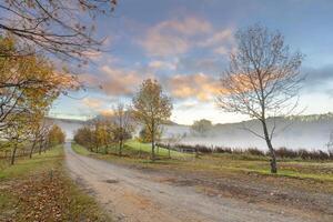 Autumn colored trees and clouds colored by the sun photo