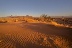 Red sand dune with ripples swept by the wind photo