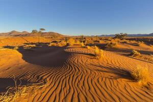 Wind swept patterns on the dune photo