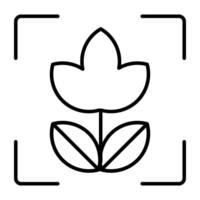 An icon design of leaf focus vector