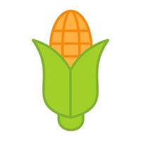 A perfect design icon of corn cob vector