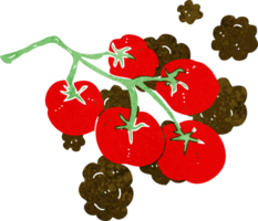 green tomatoes on vine illustration png