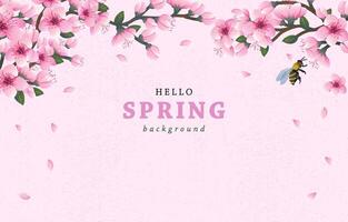 hello spring background with cheery blossom flowers vector