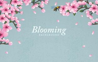 Blooming background with cheery blossom flowers vector