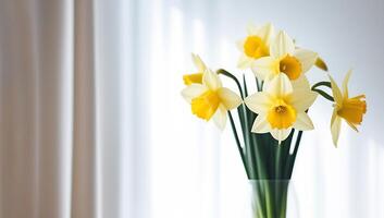 ai generado floreció narcisos, floreciente primavera flores racimo, ramo. bandera antecedentes. foto