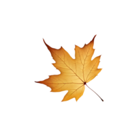 AI generated Maple leaves isolated on transparent background generative ai png