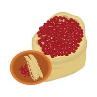 Illustration of red bean vector