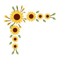 Illustration of sunflower vector