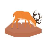 Illustration of deer vector