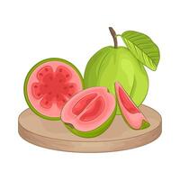 Illustration of guava vector