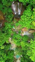 Tropical Waterfall In Jungle video