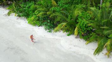 feliz romântico casal tendo Diversão em tropical de praia video