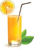 glass of orange juice with lemon Fresh orange and glass with juice. Vector illustration.