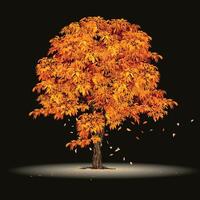 Autumn Tree Set With Falling Leaves on White Background. Elegant Design with Maple, Oak, Birch Trees and Ideal Balanced Colors. vector