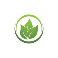 Green leaf logo icon vector