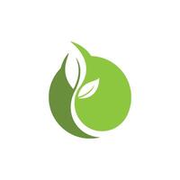 Green leaf logo icon vector