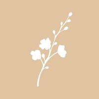 Minimalistic White Floral Illustration on Beige Background vector