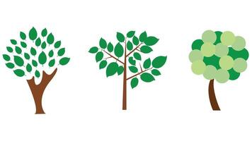 Trees and green leaves collection vector art illustration isolated