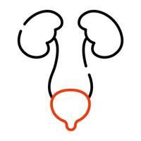 Kidneys icon in editable style vector