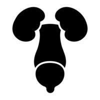 Kidneys icon in editable style vector