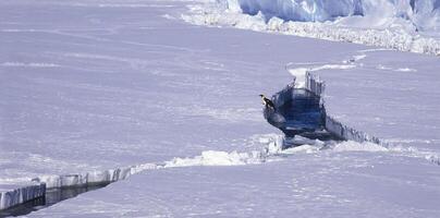 Emperor Penguin jumping out of the water, Riiser Larsen Ice Shelf, Queen Maud Land Coast, Weddell Sea, Antarctica photo