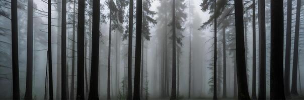 ai generado un brumoso Mañana con alto arboles en un Valle rodeado por denso niebla. ai generativo foto