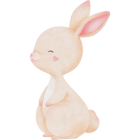 cute rabbit clipart, transparent background png