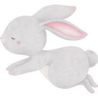 Hand painted watercolor of a cute bunny png
