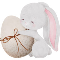 A charming Easter bunny with a big easter egg png