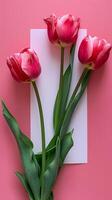 AI generated Mother's day, Valentine's Day background concept with tulip flower, blank greeting card. photo