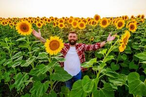 contento granjero es en pie en su girasol campo cuales es en florecer. él es contento porque de bueno temporada y bueno Progreso de el plantas. foto