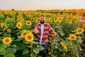 contento granjero es en pie en su girasol campo cuales es en florecer. él es contento porque de bueno temporada y bueno Progreso de el plantas. foto