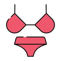 Modern design icon of beach dress, bra with underwear vector