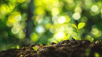 AI generated Green sprout growing from soil on blurred green bokeh background photo