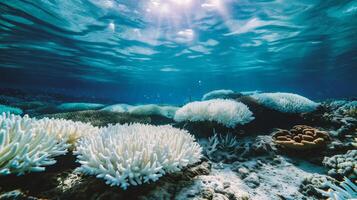 AI generated Underwater view of coral reef with sunlight. Tropical underwater background. photo