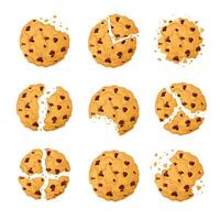 delicioso chocolate chip Galleta mano dibujado dibujos animados estilo aislado en un blanco antecedentes vector