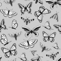 vector pattern of butterflies in sketch style