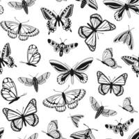 vector pattern of butterflies in sketch style