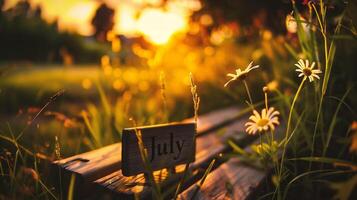 AI generated Sunset in the meadow with daisies and wooden bench photo