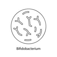 patógeno bacterias bacteriano microorganismo. microbiología, infografía. mano dibujado garabatear estilo. vector