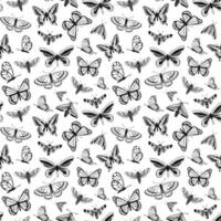 vector pattern of butterflies in sketch style