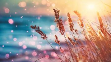 AI generated Sunset on the grass with dew drops and bokeh photo