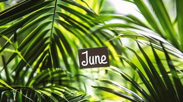 AI generated Tropical palm leaves with the word June in the background photo