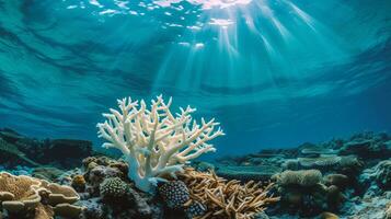 ai generado submarino ver de coral arrecife con luz de sol. tropical submarino antecedentes. foto