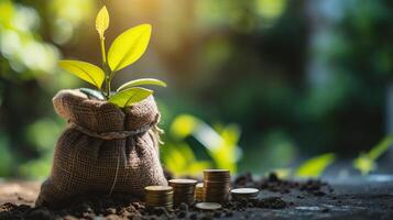 AI generated Investment concept, Coins with plant growing out of money bag on blurred background photo