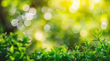 ai generado cerca arriba de naturaleza ver verde hoja en borroso verdor antecedentes debajo luz de sol con bokeh y Copiar espacio foto